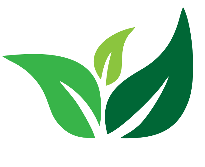 logo do thi xanh bac ninh
